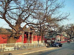 2023 02 05  PEKIN - WANSHOU TEMPLE LONGEVITE BIENVEILLANCE (2)